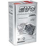 ???????????????? ?????????? EVO E5 10W-40